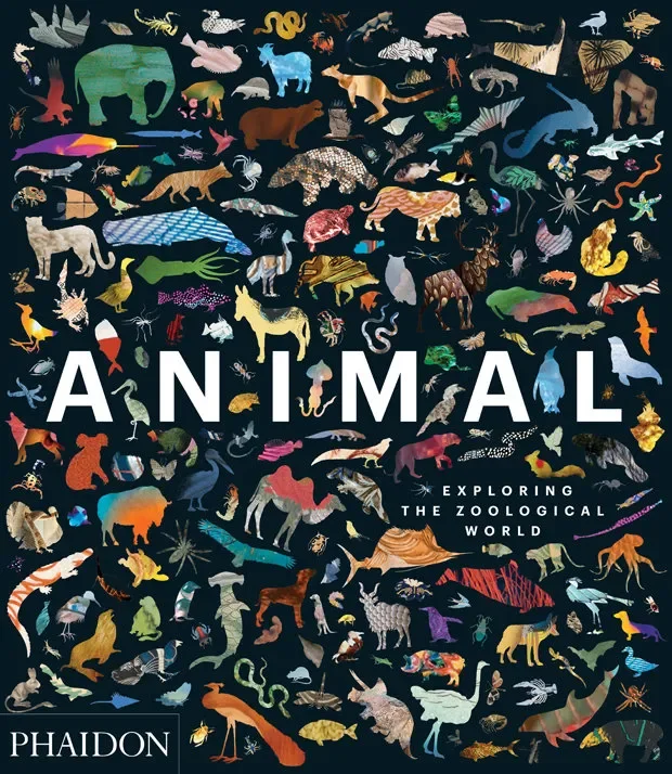 Animal:exploring the zoological world