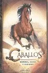 Caballos (10)