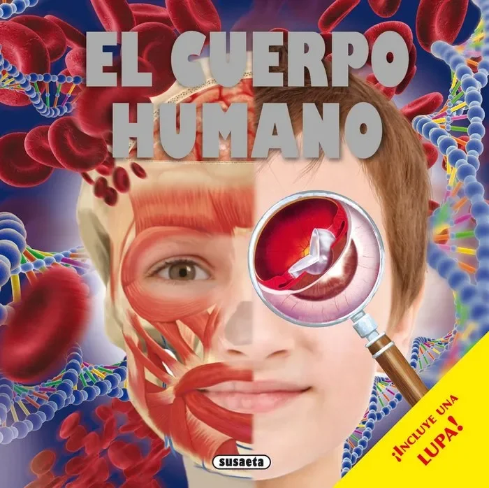 El cuerpo humano (26)