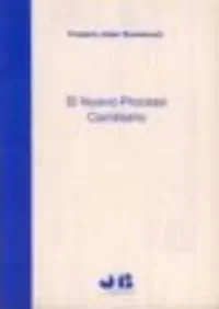 El nuevo Proceso Cambiario.