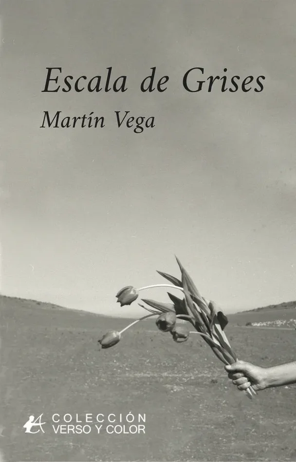 Escala de grises (3)