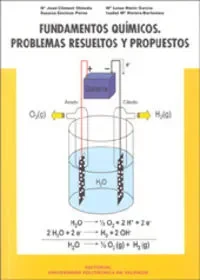Fundamentos qu¡micos. problemas resueltos y propuestos