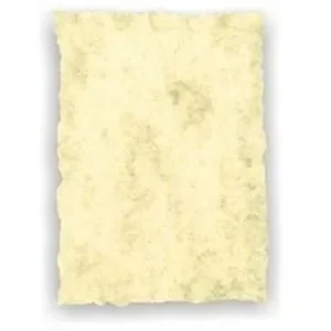 Pergamino troquelado a3 2603 piel de elefante 160gr pergami