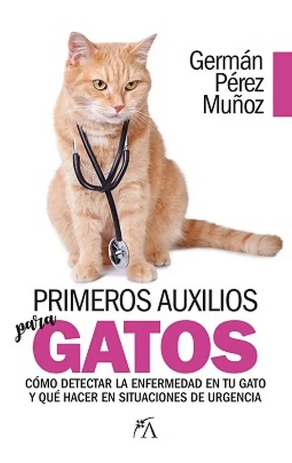 Primeros auxilios para gatos