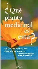 ¿que planta medicinal es esta?