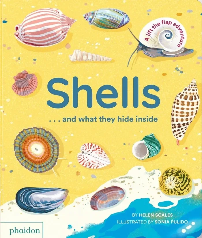 Shellsaand what they hide inside